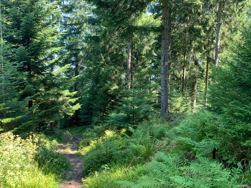 Nature At Its Best/>
            <div class=